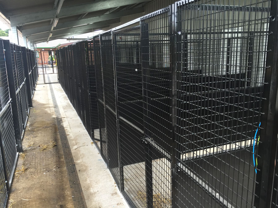 animal welfare center external cage