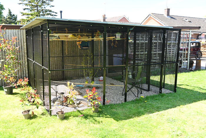 large budgie aviary