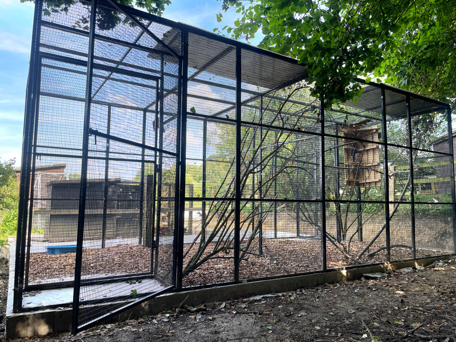Heron recue cage 1