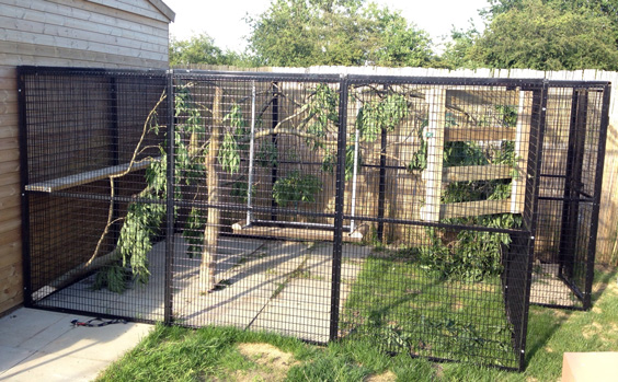 large outdoor parrot cage