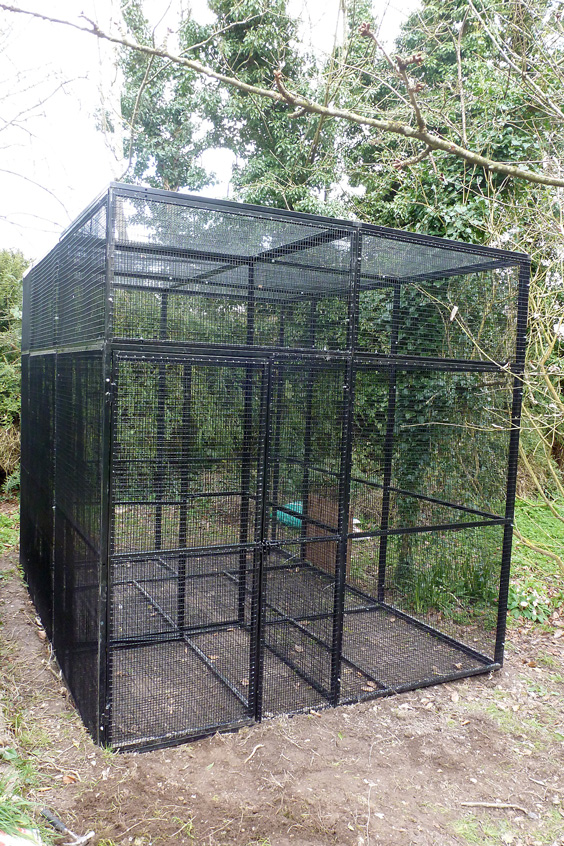 wildlife aviary