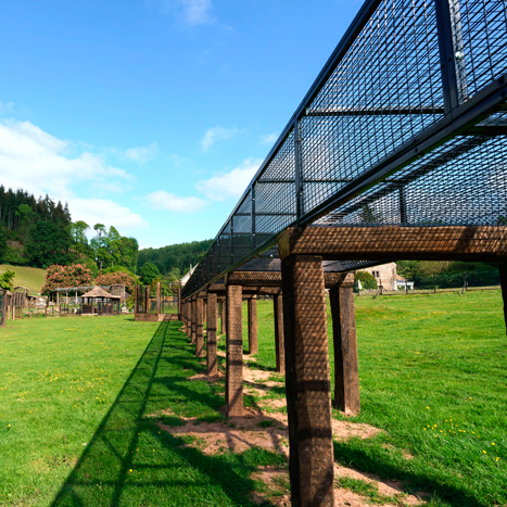 Large Cage for Zoo