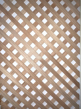 Beech Trellis 10mm strip 10mm Apeture