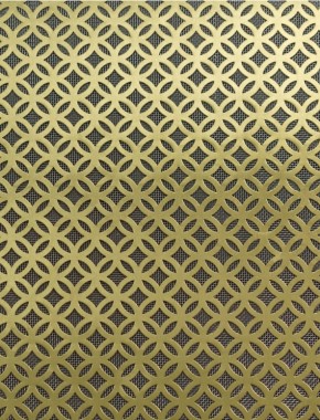 Inner Circle brass 1X.665m with stainless backing mesh 1