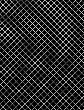 Crimped mesh 1X1 10X10 SS3161.2 DIAMONDNOmesh cut to size 1