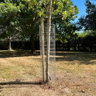 23 no. Galv 48x12(in)tree guard 3x1(in)12G 0