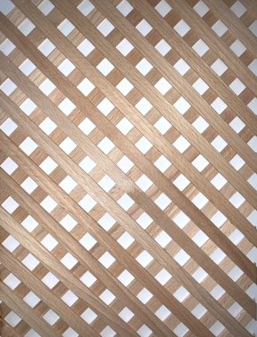Beech Trellis 10mm strip 10mm Apeture 0