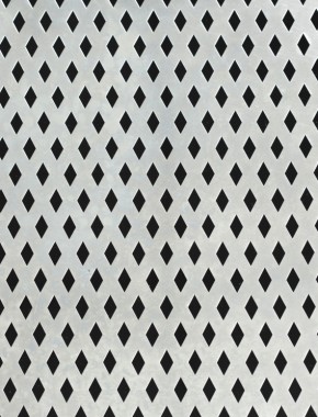 Small Diamond stainless 2 X 1m with no backing mesh 1