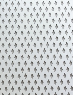 Small Diamond Silver anodised 2 X 1m with black backing mesh cut to size 1