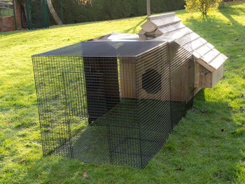 Chicken Run