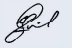 Hardy Giesler Signature 