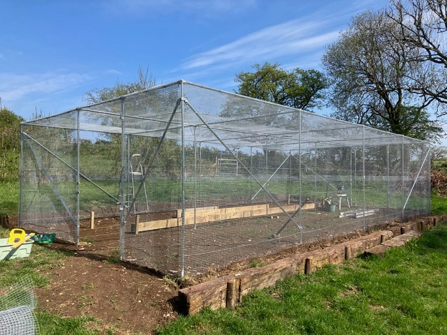 Large outdoor fruit cage