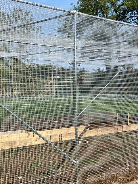 fruit cage for bird protection