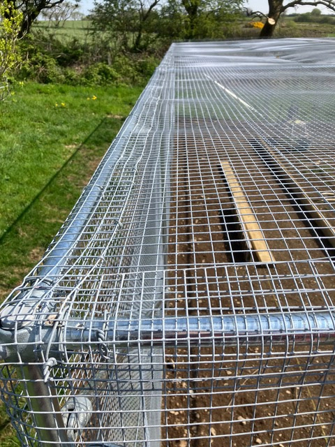 mesh wrapped around scaffold tube