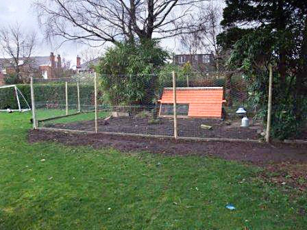 chicken wire run