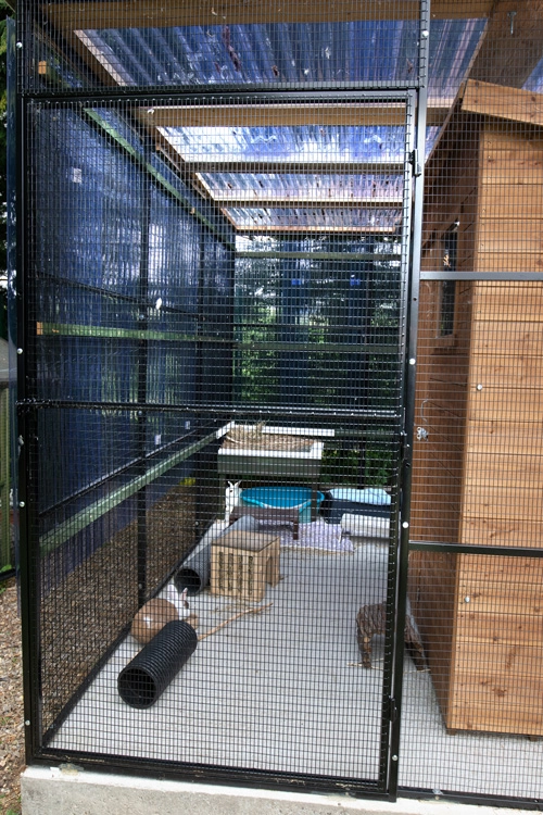 RSPCA rabbit rehoming cage