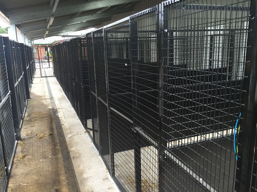 animal welfare center external cage