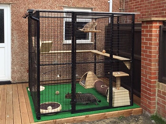 outdoor cat play area