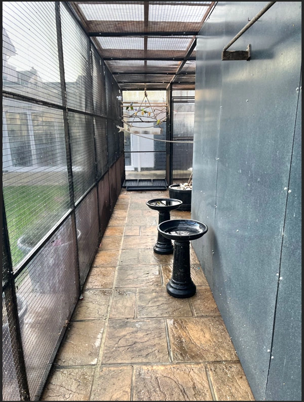 aviary boxed nesting area