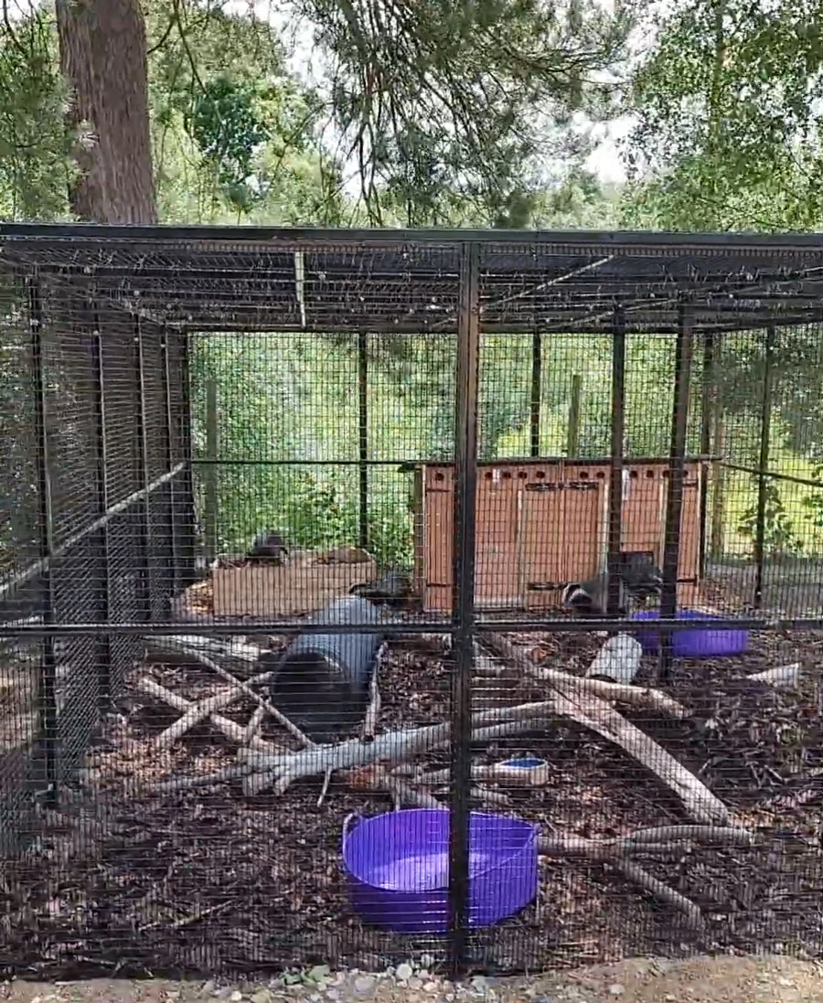 Pen Rescue Center Rescue pen for Badgers