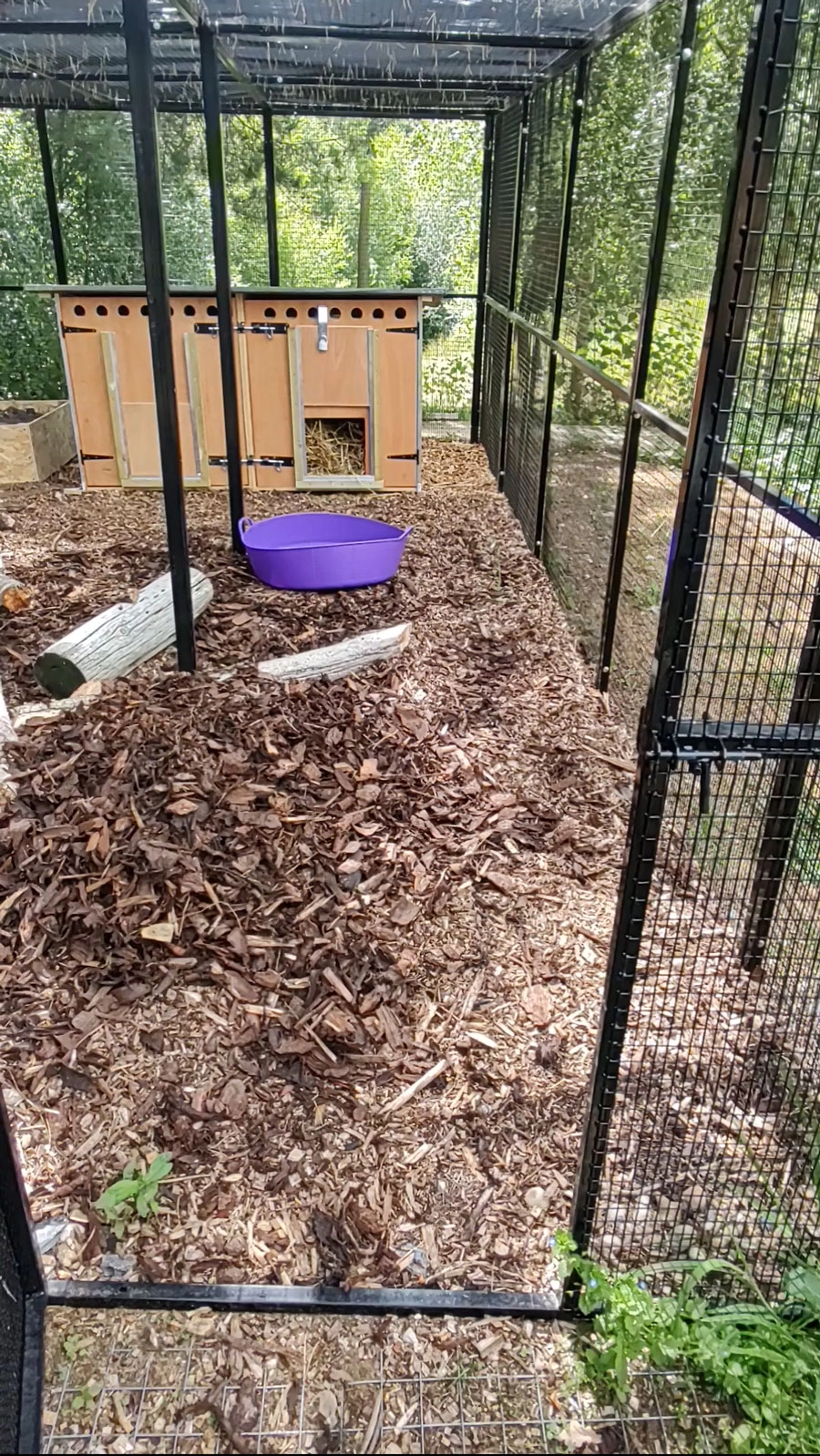 Badger Pen 3