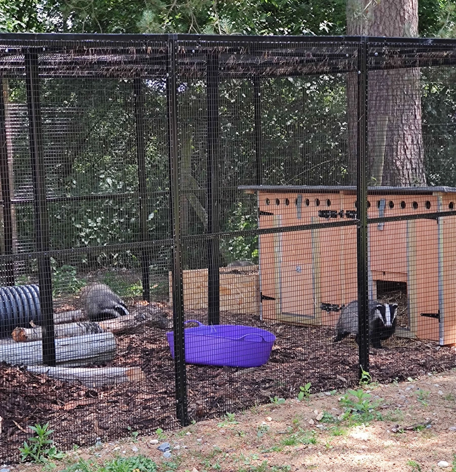 Pen Rescue Center Rescue pen for Badgers
