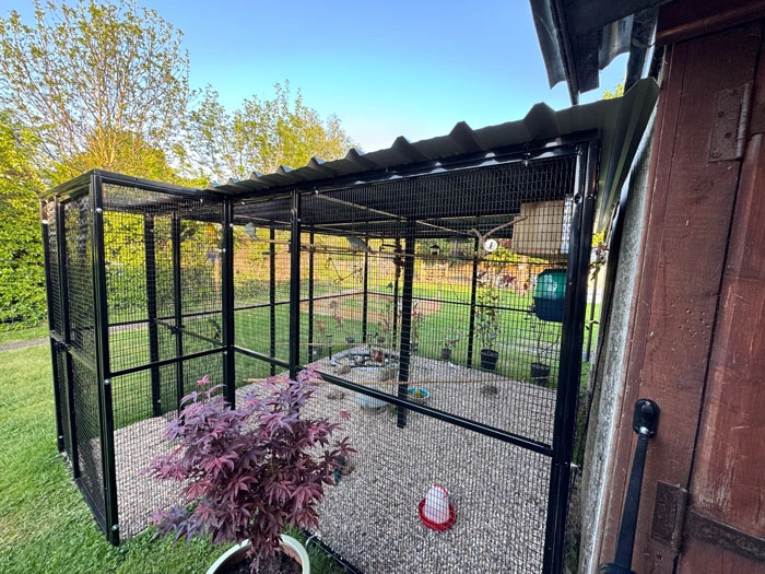 large outdoor budgie cage