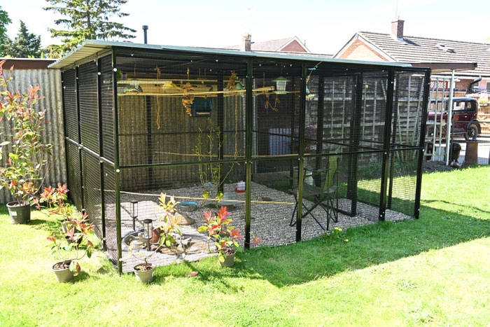 large budgie aviary