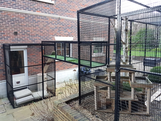Cleverly designed cat run