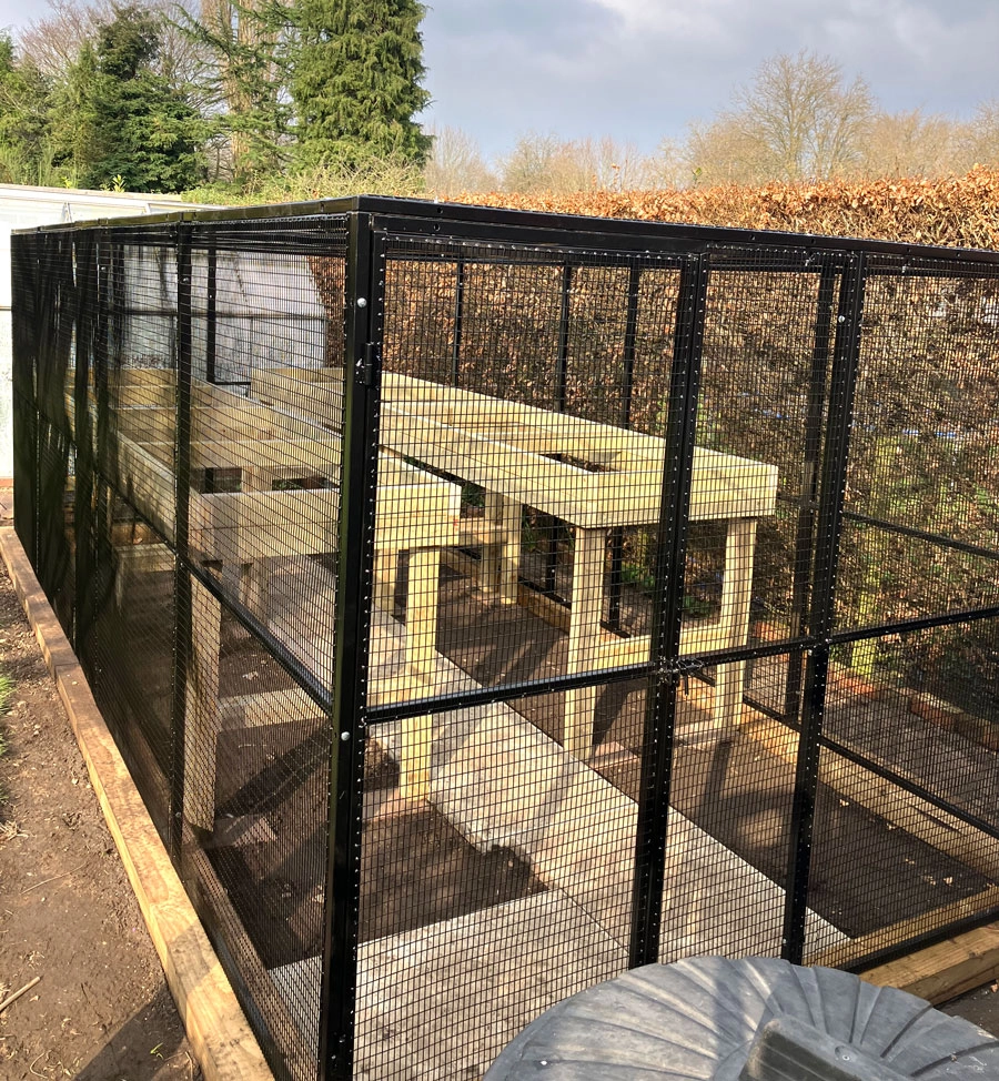 vegetable- protection cage
