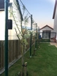 fruit-tree-support-wires