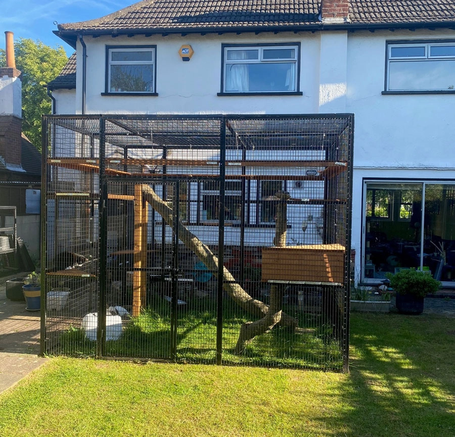 garden cat run