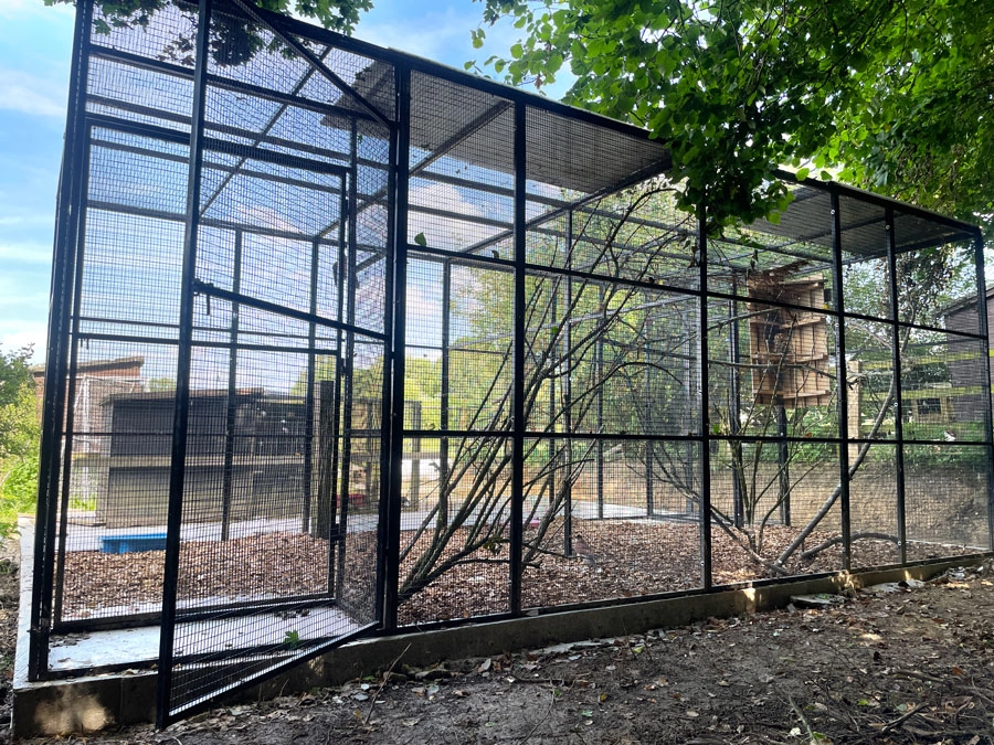 Heron recue cage 1