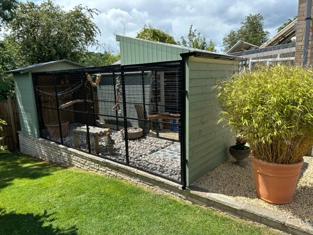 mcaw aviary