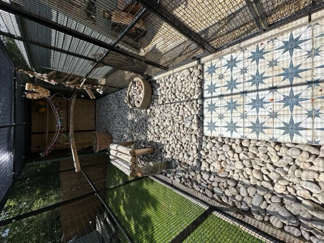 mcaw aviary and barn
