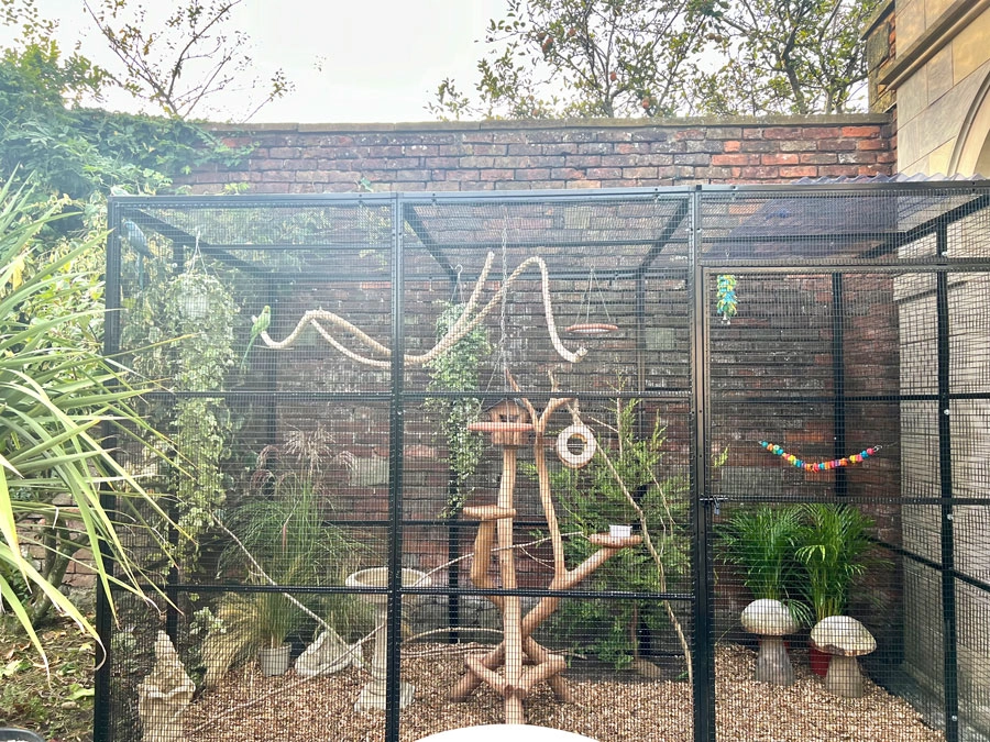 Parakeet aviary