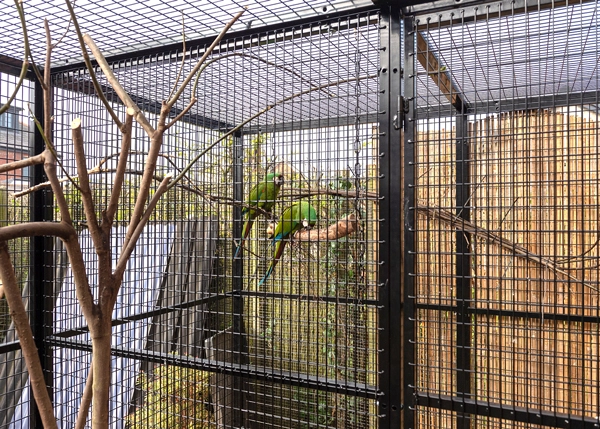 Beautiful view of High End Macaw Aviary Company