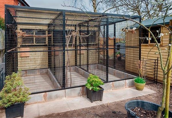 Illustration of Macaw Parrot Aviary For Commercial Use