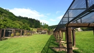 zoo tunnel front