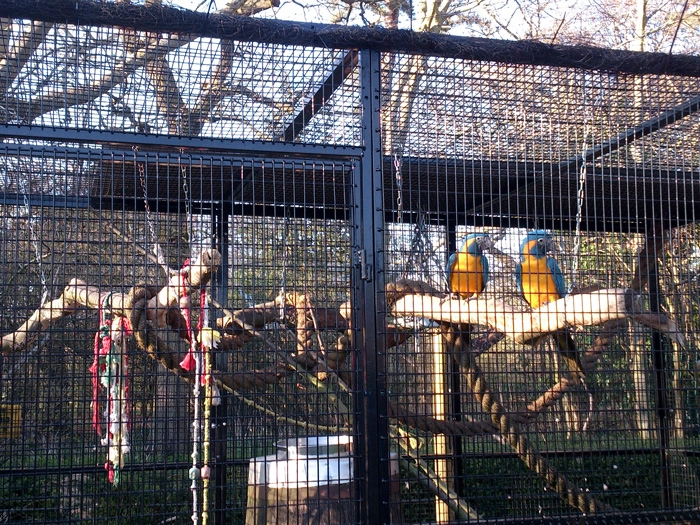 Cages used in Zoo