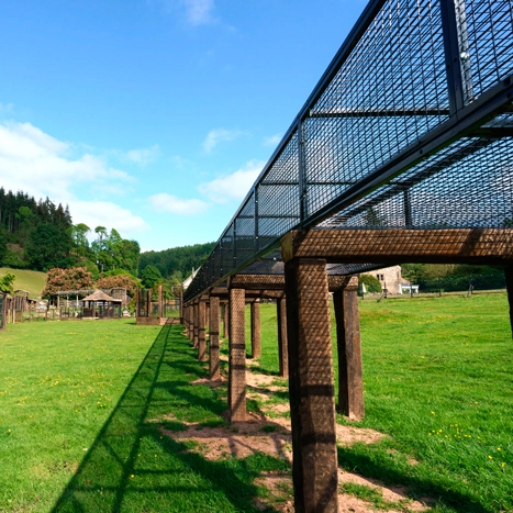 Large Cage for Zoo