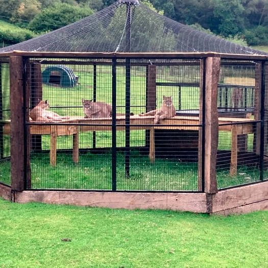 Large Cage for Zoo