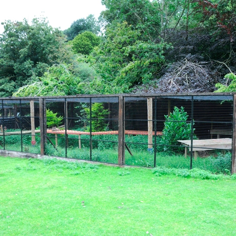 Large Cage for Zoo