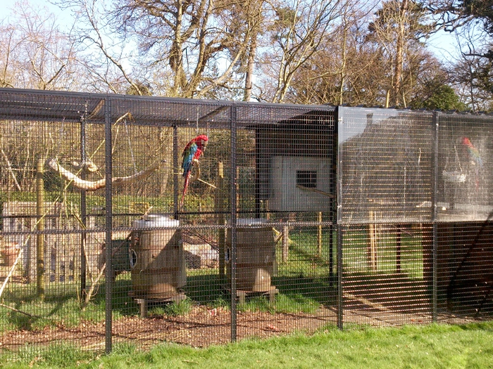Macaw Bird Cage With Waterfall And Social Area photo