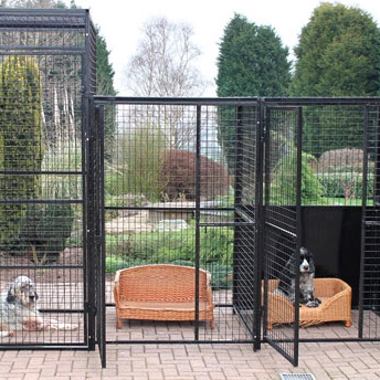 Netting fence dog online