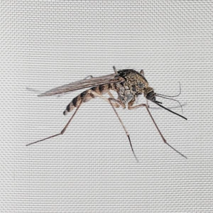 Perforated Metal Sheets & Panelling | Fine Mesh Metals