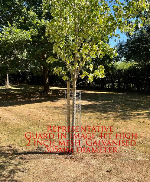 12 no. Galv 72x24(in)tree guard2x2(in)12G