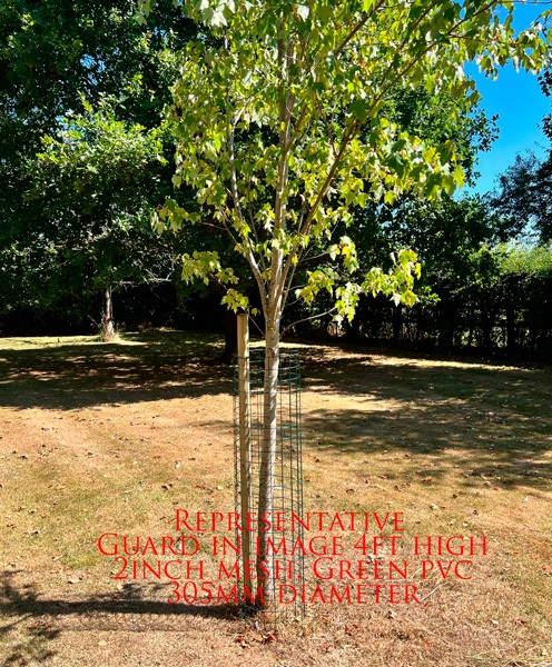 12 no. Green 72x24(in) tree guard2x2(in)12G