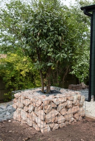 Gabion Planter