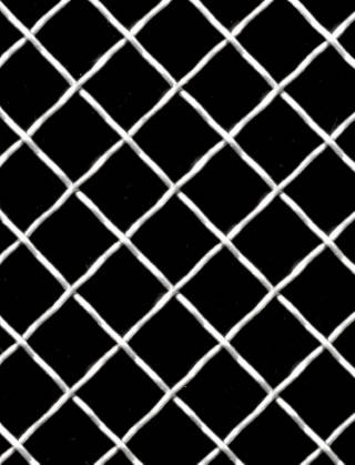 Crimped mesh 2 X 1 10X10 SS3161.2 DIAMONDNOmesh